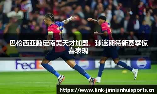 巴伦西亚敲定南美天才加盟，球迷期待新赛季惊喜表现